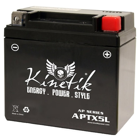 Bsc Preferred E-Ton 90cc  ATV Replacement Battery 2004-2013 ZZZ-42009-F-0-511848